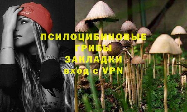 марихуана Абаза