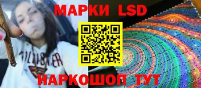 гидропоника Гусев