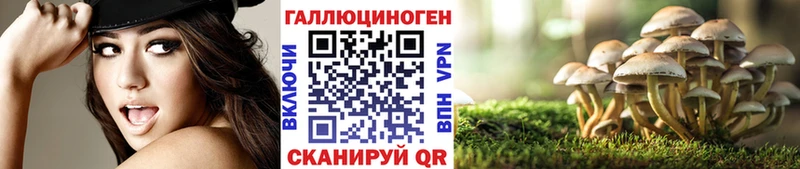 купить закладку Лосино-Петровский Галлюциногенные грибы мицелий